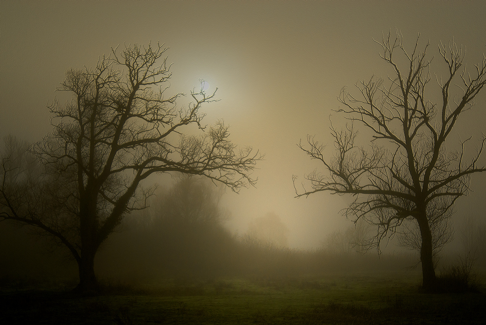 Abitanti della nebbia