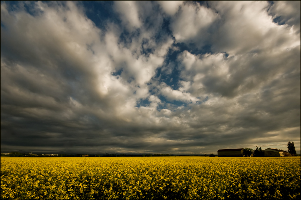 abitare in giallo