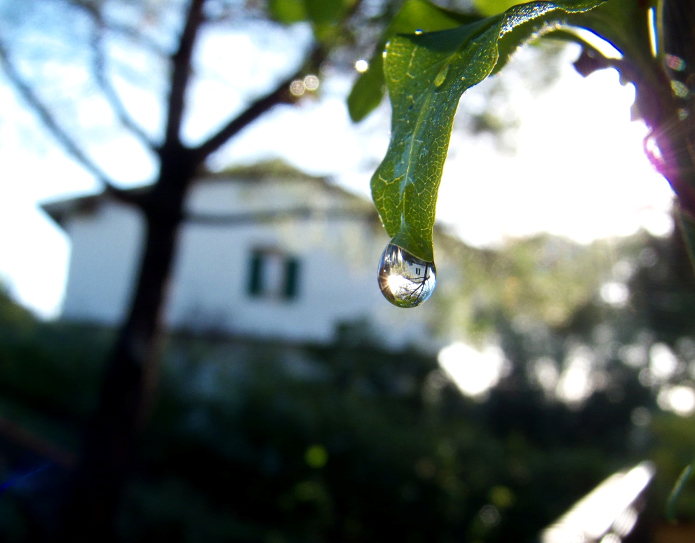 Abitare in una goccia