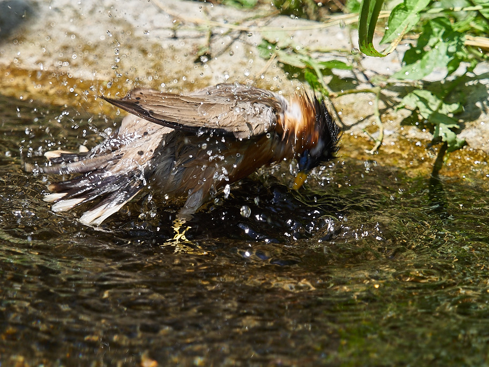 Abkühlung