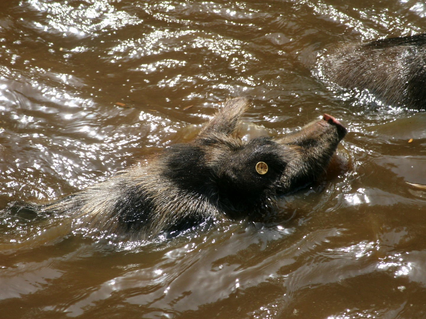  Abkühlung