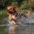 Abkühlung am heißen Sommer Tag