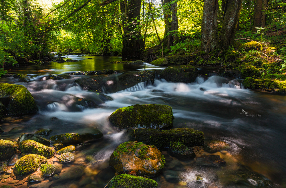 Abkühlung im heißen Sommer 2015