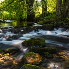 Abkühlung im heißen Sommer 2015