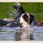 Abkühlung im See!