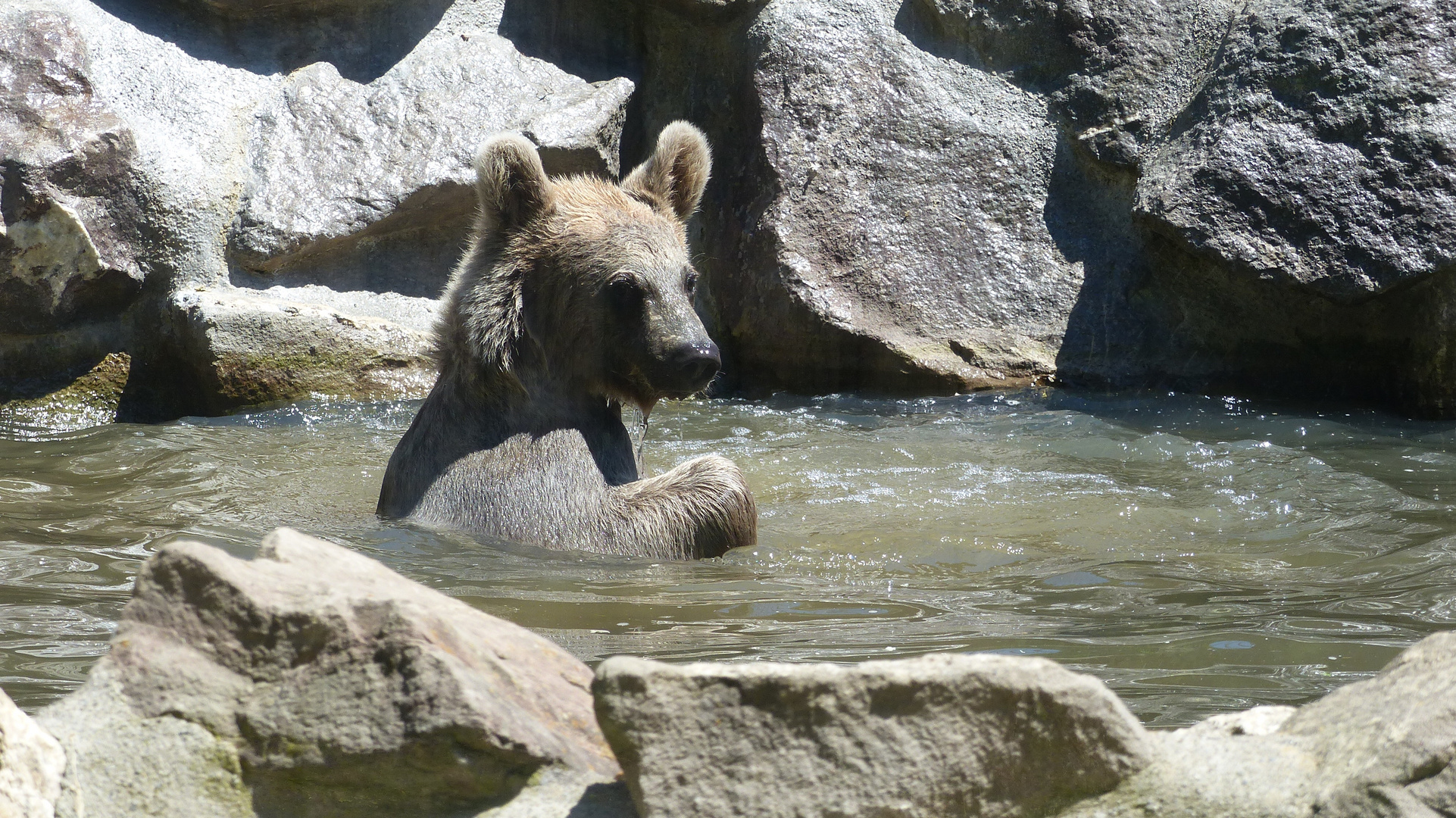 Abkühlung im Sommer