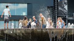 Abkühlung im Wagenbachbrunnen von Luzern