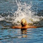 Abkühlung im Wasser