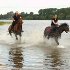 Abkühlung in der Elbe