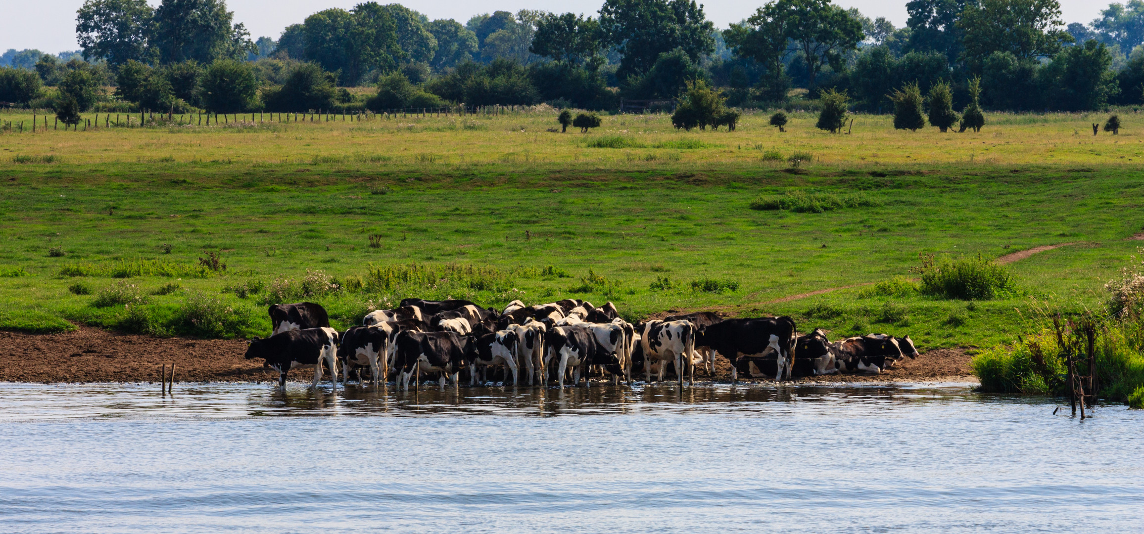 Abkühlung in der Weser