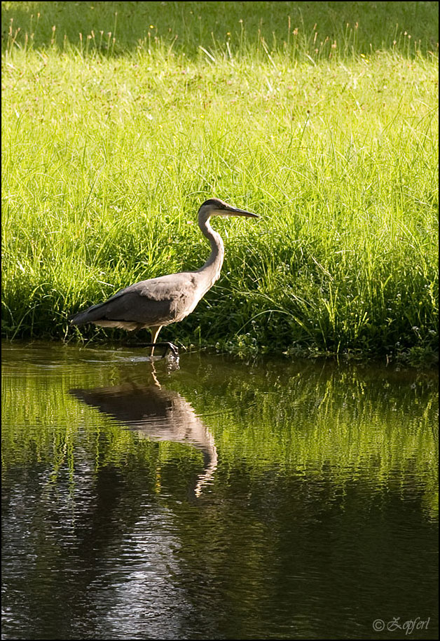 ...Abkühlung mit Fussbad