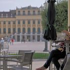 Abkühlung tut gut... Schloss Schönbrunn im Hochsommer