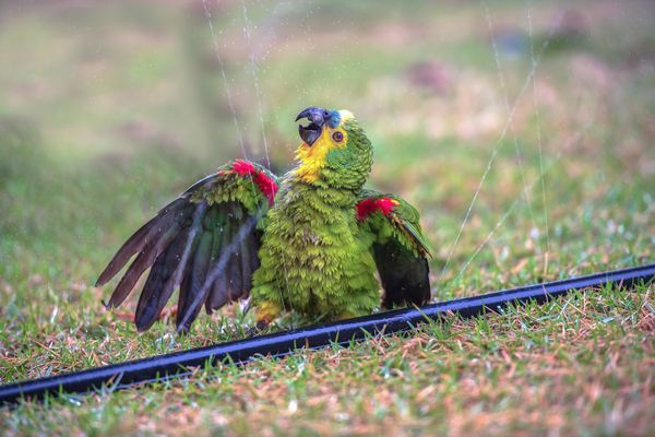Abkühlung vom Feinsten