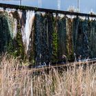 Ablagerungen aus der Tiefe in den Wassergärten Landsweiler Reden