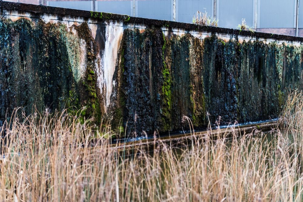 Ablagerungen aus der Tiefe in den Wassergärten Landsweiler Reden