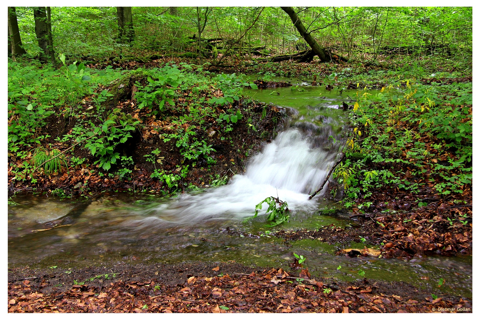 ablaufendes Hochwasser