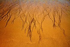 ...ablaufendes Wasser