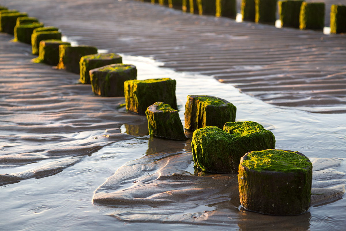 ... ablaufendes Wasser ...