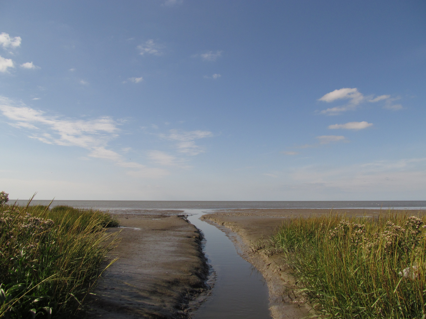 Ablaufendes Wasser zum Meer