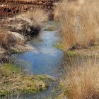 Ablaufgraben im Südlohner Moor