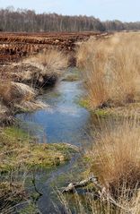 Ablaufgraben im Südlohner Moor