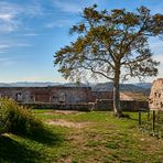 Abmarsch, ein letztes Foto von der Ruine Lindelbrunn, unser nächstes Ziel... 