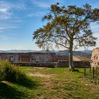 Abmarsch, ein letztes Foto von der Ruine Lindelbrunn, unser nächstes Ziel... 