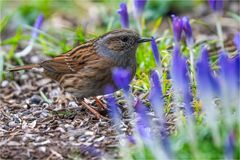 … Abmarsch in den Frühling …
