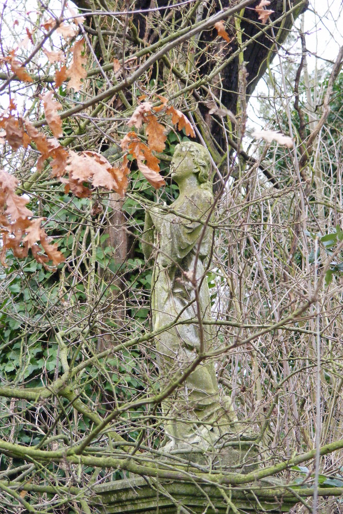 Abney Park Cemetery