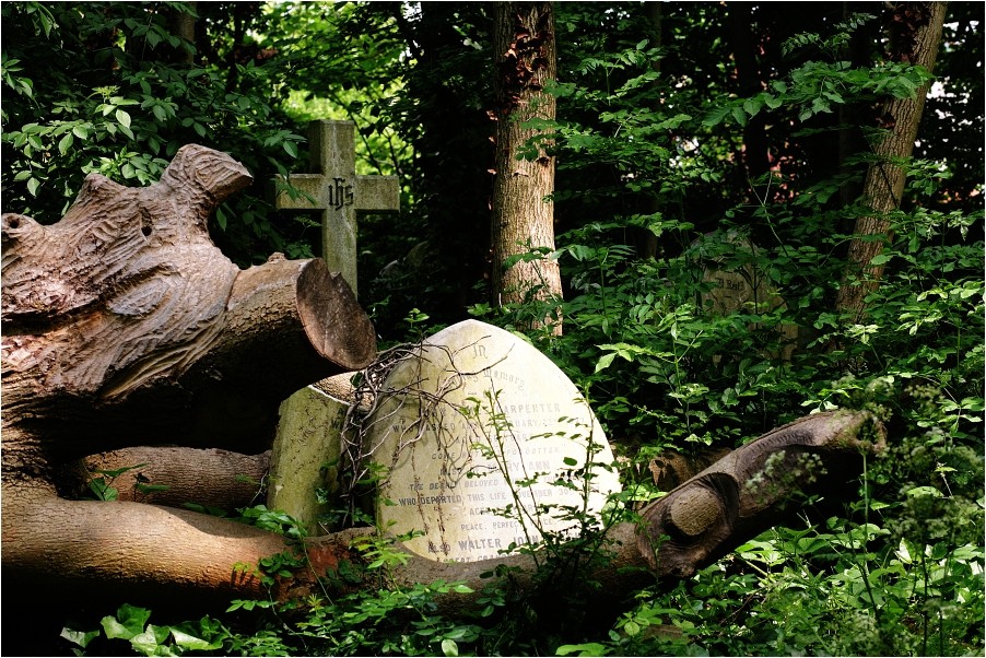 Abney Park Cemetery II