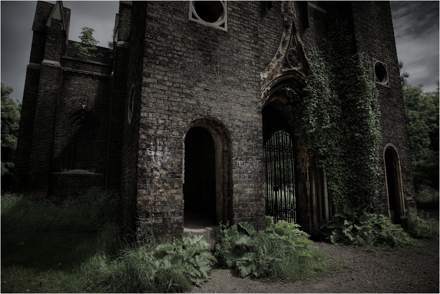 Abney Park V