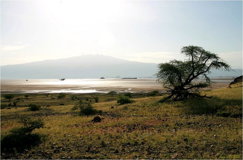 " Abords du lac Natron "