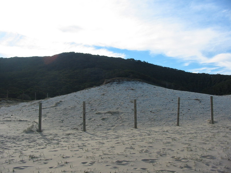 Aboriginal Midden