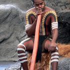 Aboriginee