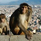 Above Kathmandu