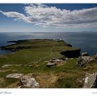 Above Neist Point