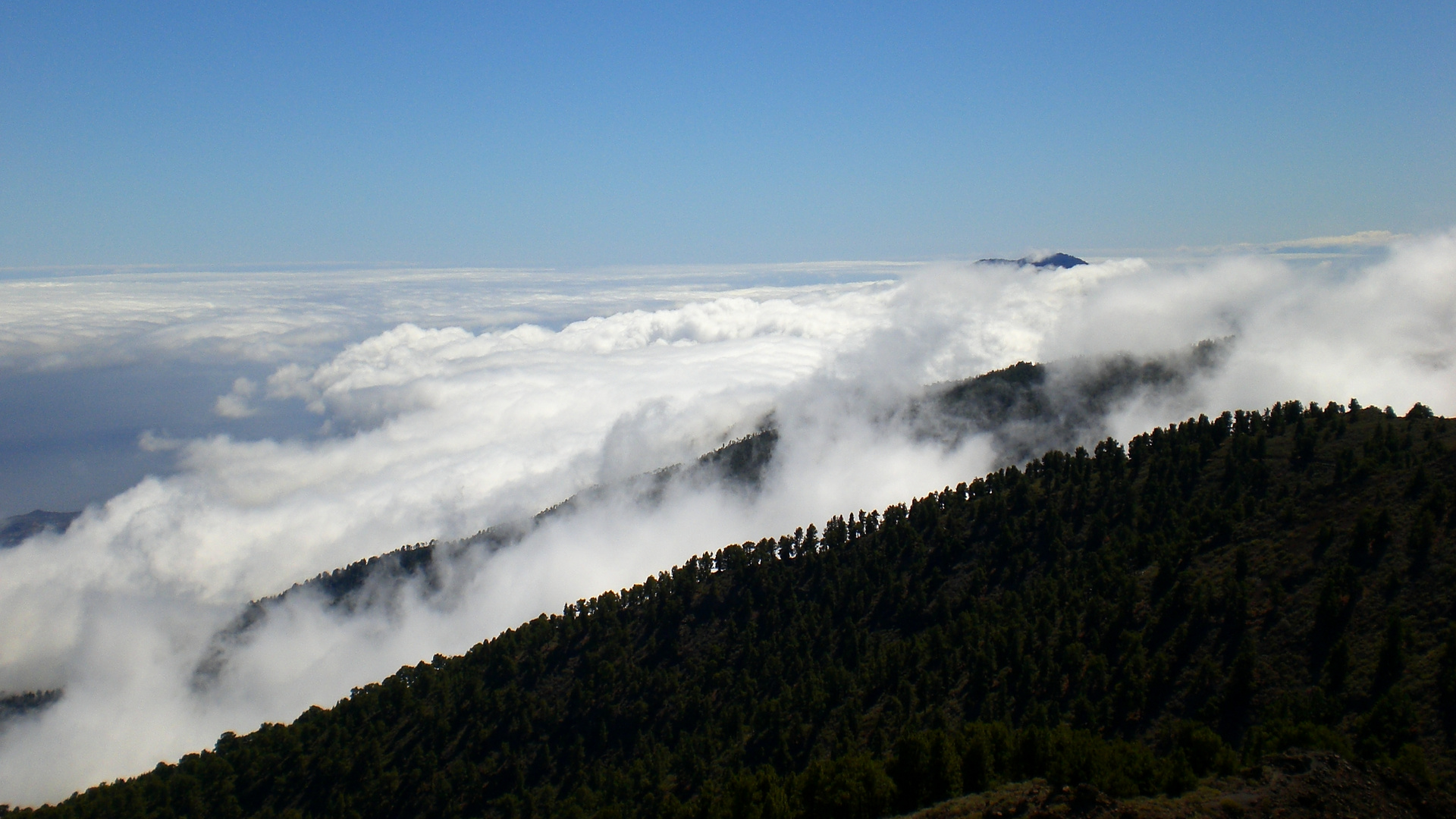 above the clouds