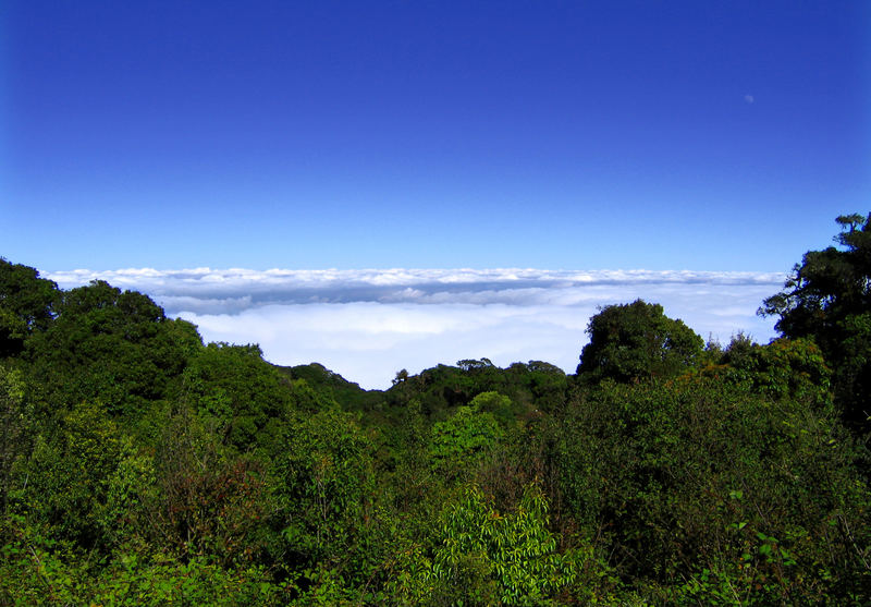 Above the clouds