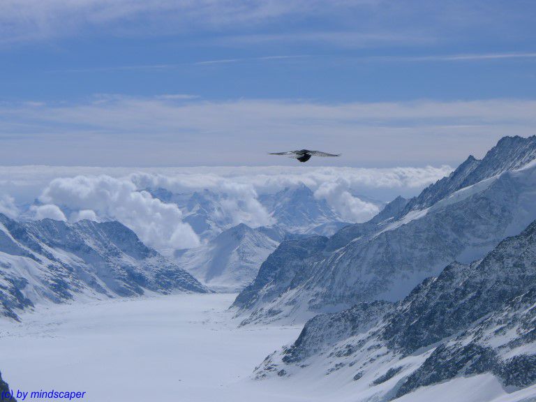 Above the clouds freedom is limitless