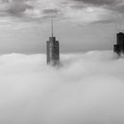 Above the clouds in Chicago