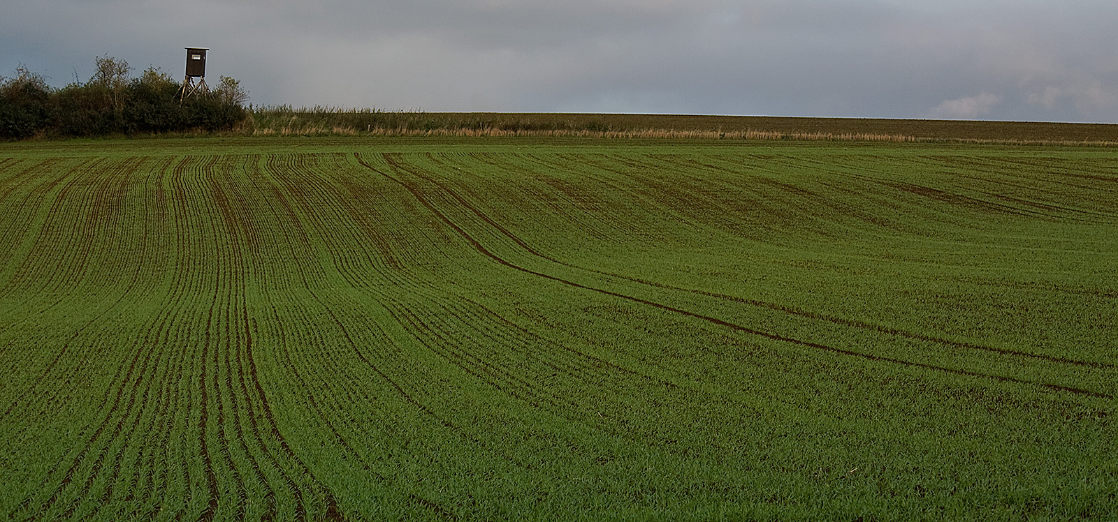 Above the field 2