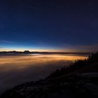 above the fog