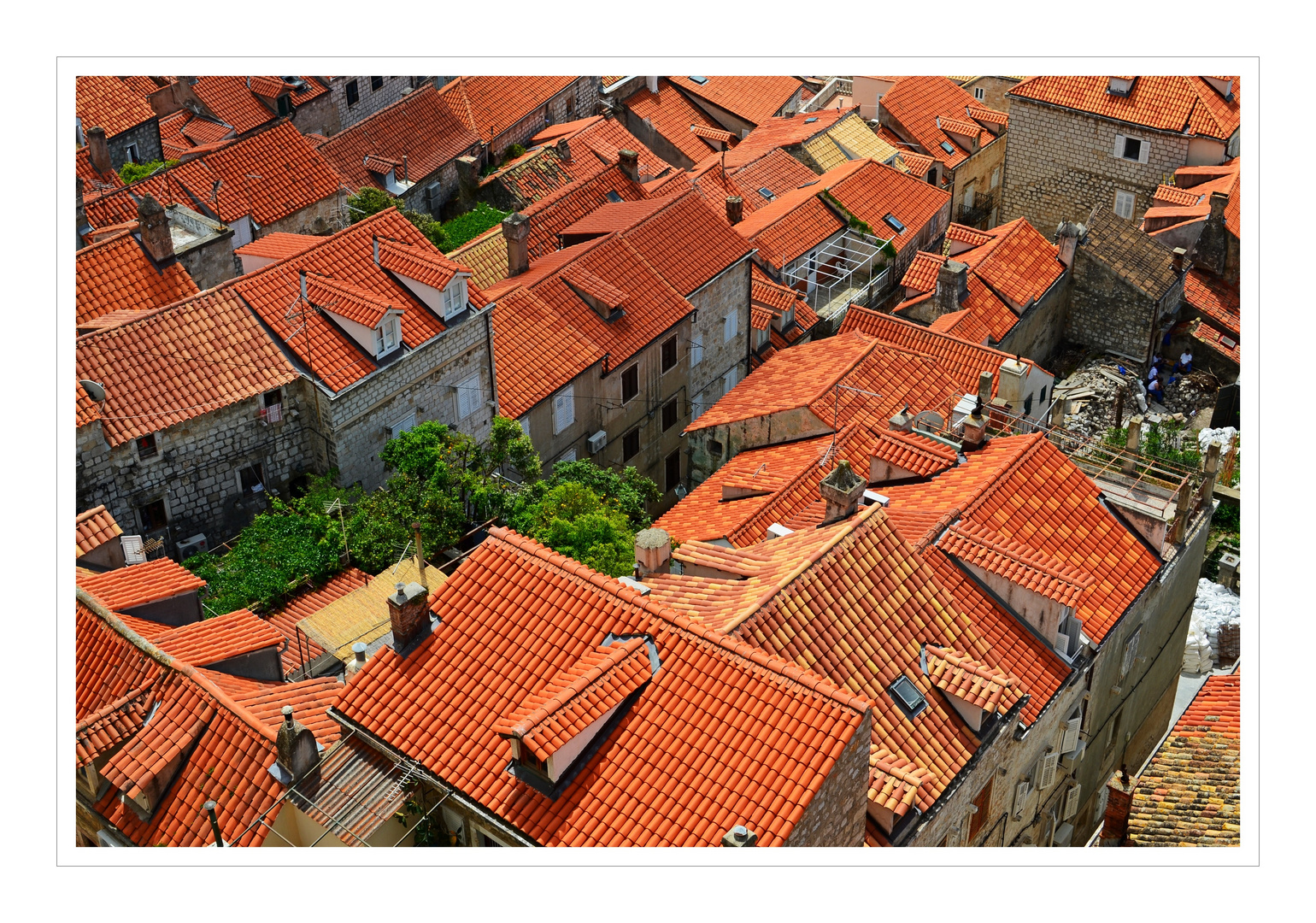 Above the roofs