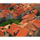 Above the roofs