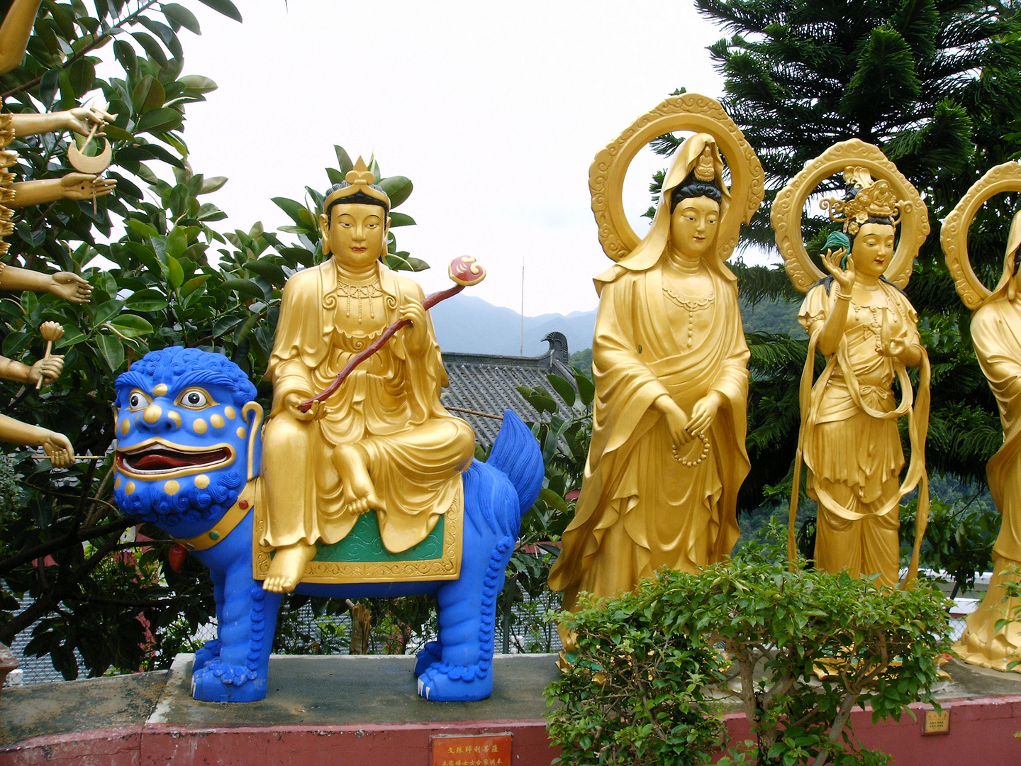 Above the Ten Thousand Buddhas Monastery at the Sha Tin District, Hong Kong 1