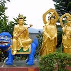 Above the Ten Thousand Buddhas Monastery at the Sha Tin District, Hong Kong 1