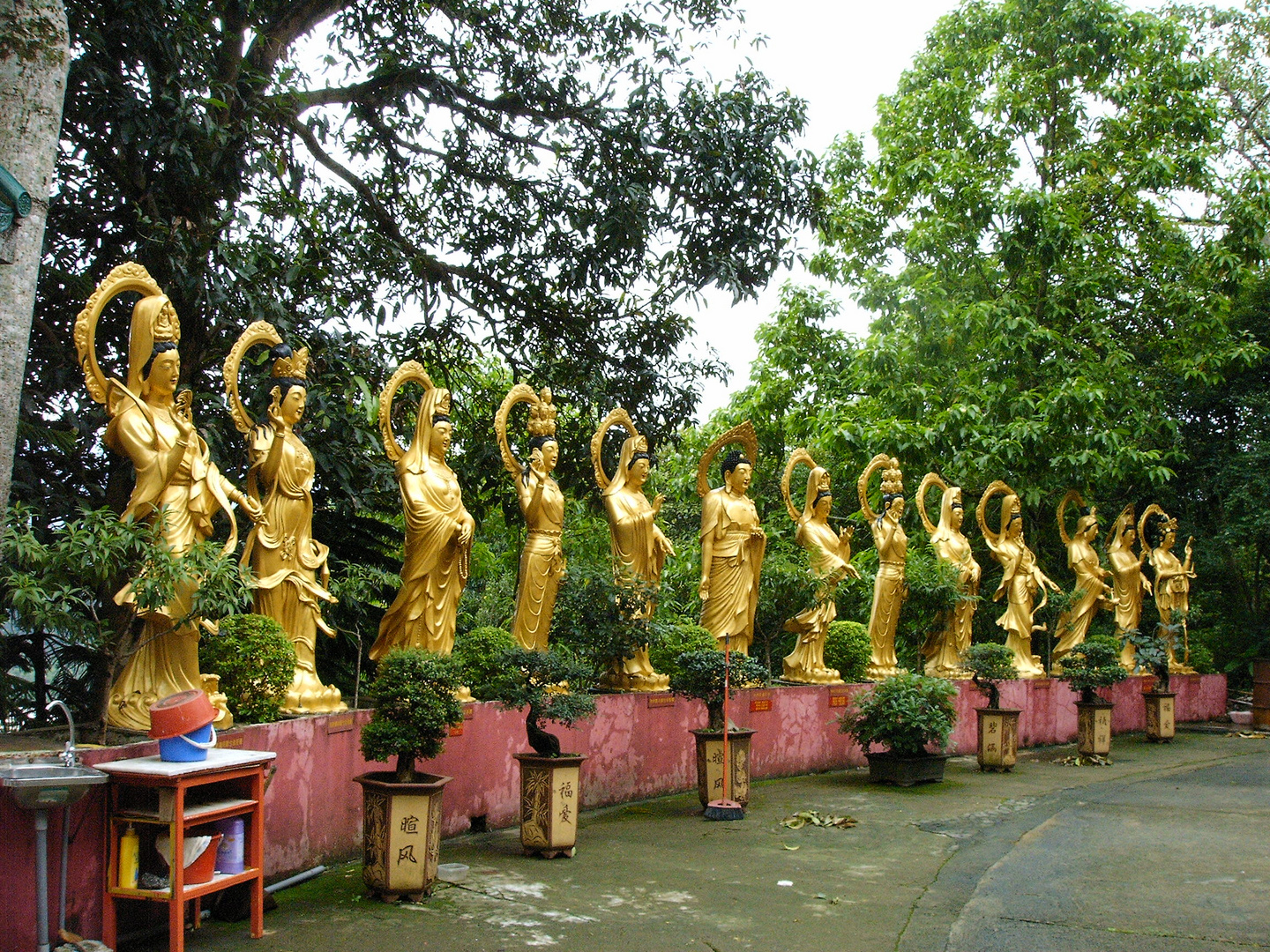 Above the Ten Thousand Buddhas Monastery at the Sha Tin District, Hong Kong 3