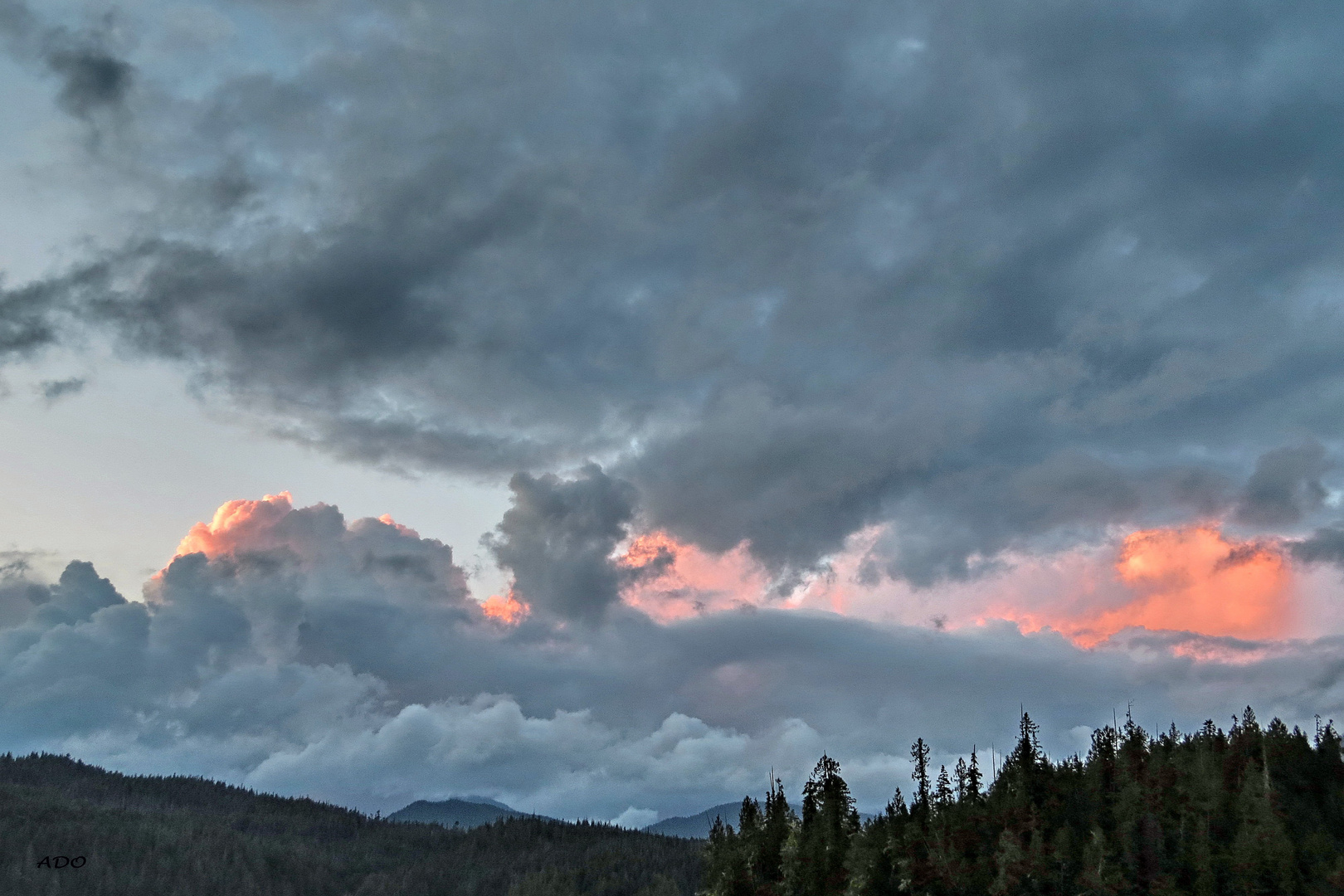 Above the Treeline