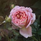 Abraham Darby