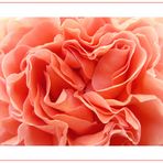 Abraham Darby